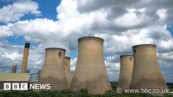 UK power station still burning rare forest wood