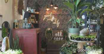 Small businesses in Sask. struggling as not many were able to pay back their CEBA loans