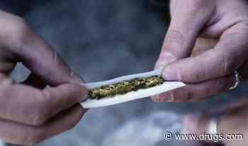 Cannabis Use Linked to Adverse Cardiovascular Outcomes