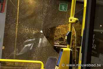 Opnieuw ramen gesneuveld bij bus van De Lijn op Linkeroever: reizigers komen er met de schrik vanaf, bus rijdt donderdag niet