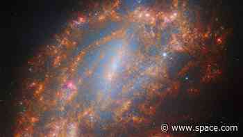 James Webb Space Telescope sees the infrared skeleton of a galaxy (image)
