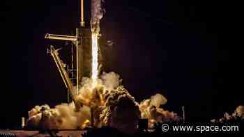 SpaceX to launch Crew-8 astronauts to the space station March 1: Watch live