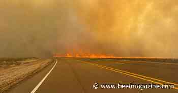 UPDATED: Texas, Oklahoma battling large wildfires