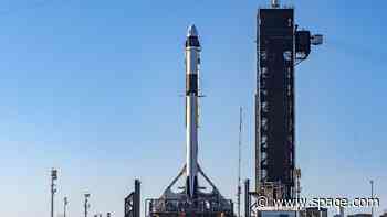 SpaceX delays Crew-8 astronaut launch for NASA to March 2 due to bad weather