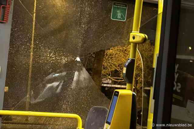 Opnieuw ramen gesneuveld bij bus van De Lijn op Linkeroever, chauffeurs staken en verkrijgen spoedoverleg: “Een duidelijke noodkreet”