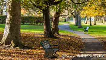 Plant trees to... save the NHS? Doctors call on ministers to plant trees near homes and schools to make us 'healthy and happy'