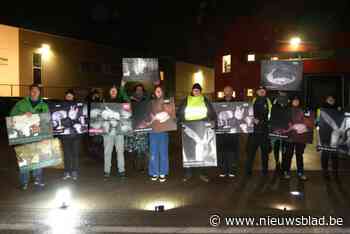 Animal Rights voert nachtelijk vreedzaam protest bij konijnenslachthuis