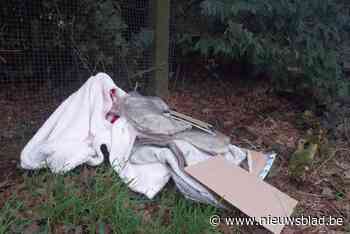 Dieven gaan er met slaaphuis zwerfkatten vandoor