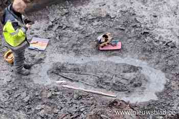 Nog geen duidelijkheid over herkomst aangetroffen skeletten bij archeologisch onderzoek: “Mogelijk een link met voormalige abdij”
