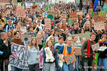 Was man über den Klimastreik in Münster wissen muss