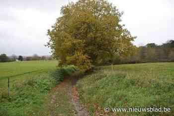 Poldergemeente Stabroek inventariseert trage wegen en roept hulp in van brede publiek
