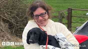 Dog missing for five days found thanks to drone