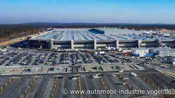 Aktivisten besetzen Waldstück nahe Tesla-Fabrik