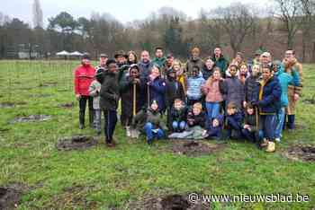 Kinderen helpen compensatiebos met 4.700 bomen planten