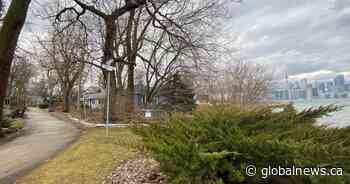 Councillor says Toronto island tax system ‘smells of privilege’