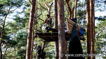 Wegen Erweiterung: Aktivisten besetzen Waldstück neben Tesla-Werk