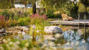 Mit Diversität zu mehr Artenvielfalt