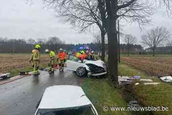 Twee gewonden na zware klap tegen boom in Tongerlo