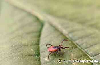Gefahr durch Zecken: RKI weist zwei neue FSME-Risikogebiete aus / Empfehlung zur FSME-Vorsorge