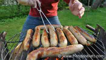 Konjunktur: Kreditversicherer warnen vor Anstieg der Unternehmensinsolvenzen