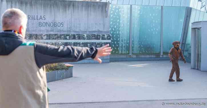 «Bären-Alarm» im Stuttgarter Zoo