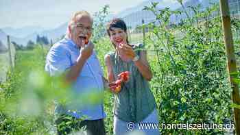 Robustes Gemüse für die neue Zeit