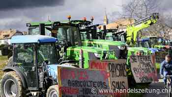 Schweizer Bauern demonstrieren landesweit für höhere Preise