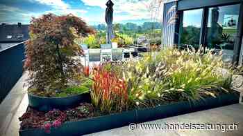 Die Natur an und auf die Häuser bringen