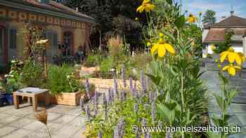 Willkommen im Stadtgarten