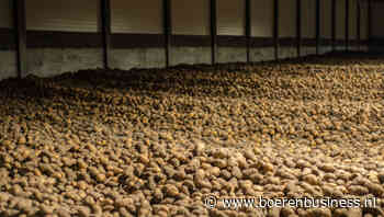 Aardappelmarkt noteert historisch hoog