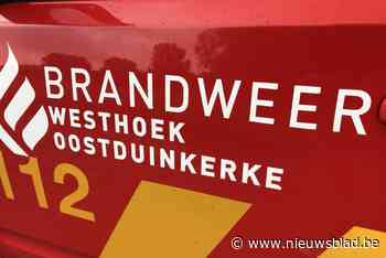 Warmte houtkachel slaat over op vals plafond: heel wat rook in woning