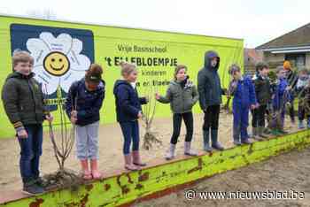 Plantdag bij basisschool ’t Ellebloempje voor groene speelplaats