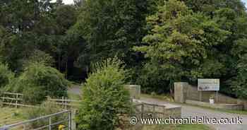 Man dies after caravan fire at County Durham holiday park