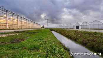 Migrantenhotel in IJsselmuiden? Omwonenden vrezen overlast, tuinders willen betere huisvesting