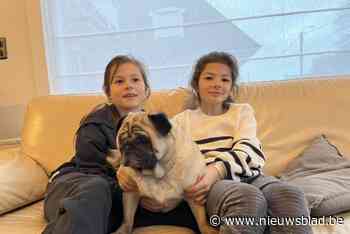 Schrikkeltweeling Alice en Maren vieren officieel hun tweede verjaardag