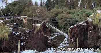 Power cut concern in Northumberland over looming move to digital telephone lines
