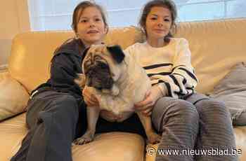 Schrikkeltweeling Alice en Maren wordt twee jaar: “En dan nog op tv gefeliciteerd door Gert Verhulst”