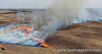 Resources available for Nebraska producers affected by wildfires