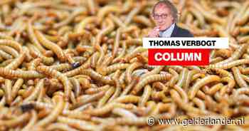 Misschien kan ik binnenkort niet meer zonder de eierbal, maar nu nog wel