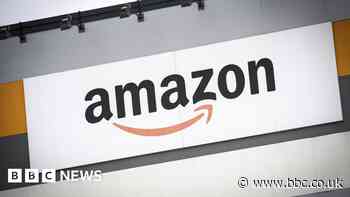 European parliament revokes Amazon lobbyist passes