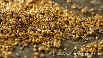 Arca Gold Bugs Index: Spitz auf Knopf.