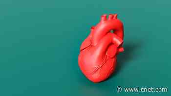 What Causes Heart Disease? Here are the Symptoms and Things to Look Out For     - CNET