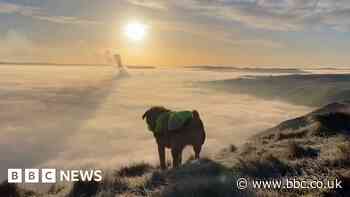 Watch: Dog and owner see '360-degree' cloud inversion