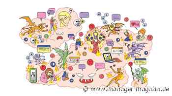 Harvard-Fallstudie: Fake News und Hetze im Netz - was können Unternehmen tun?