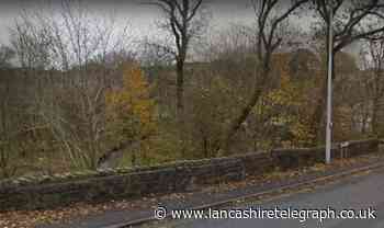 Five Blackburn with Darwen wildlife sites drop of list