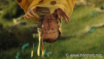 Werbekampagne von Heimat TBWA: Diese schlüpfrige Hornbach-Kampagne soll Frühlingsgefühle wecken