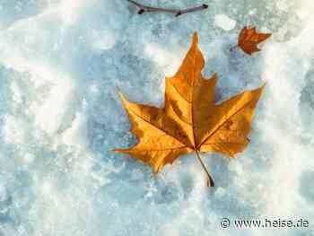 Neu in .NET 8.0 [12]: Eingefrorene Objektmengen