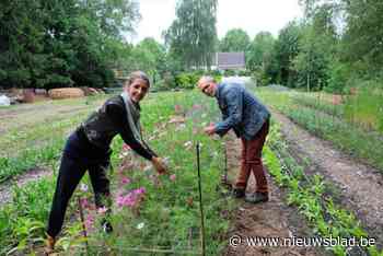 Bioboer Marieke Hoet verwelkomt natuurherstelwet met begrip voor boeren