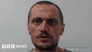 Labradoodle thief guilty of man's murder