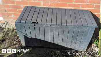 Starved dog found in box 'had eaten plastic bag'